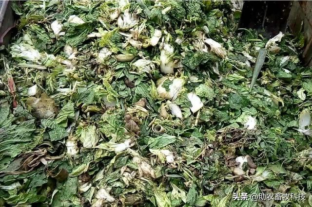 果蔬廢棄物垃圾怎樣進行科學資源化無害化減量化處理？